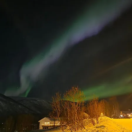 With Aurora Spot And Free Parking