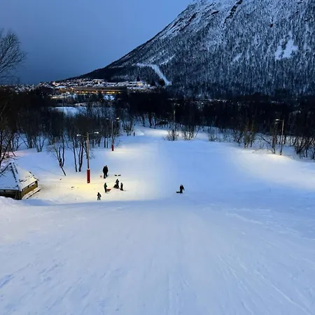 Lägenhet With Aurora Spot And Free Parking *