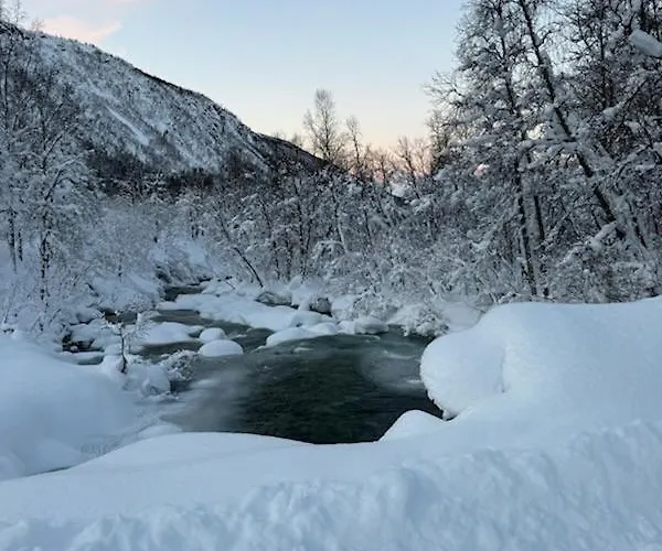 With Aurora Spot And Free Parking *